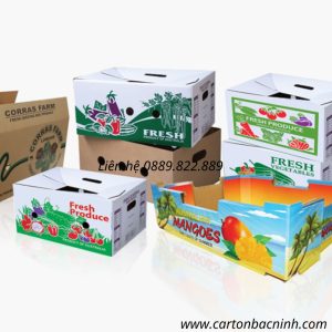 Thùng carton in offset tại Bắc Ninh